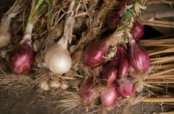 Grah Dosh: Planetary defect connection of Garlic and onion लहसुन-प्याज का ग्रह दोष कनेक्शन, जानें कैसे हुई लहसुन-प्याज की उत्पत्ति