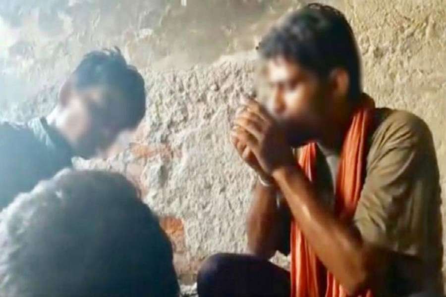 पक्षियों के सहारे भारत में नशे का आतंक फैला रहा पाकिस्तान