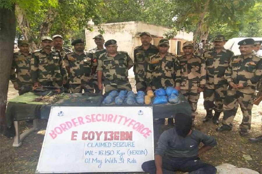 पक्षियों के सहारे भारत में नशे का आतंक फैला रहा पाकिस्तान