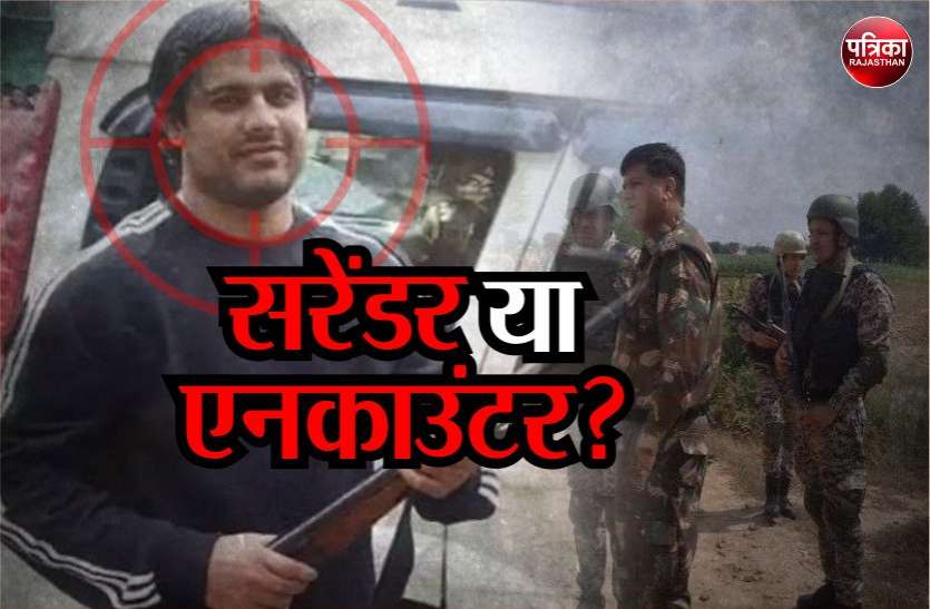 papla gurjar encounter or surrender पपला गुर्जर: 'हार्डकोर' क्रिमिनल को खोज रहीं राजस्थान-हरियाणा की ENCOUNTER स्पेशलिस्ट टीम