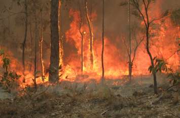 Hundreds people evacuated from Australia Fire ऑस्ट्रेलिया में आग के चलते सैकड़ों लोगों को निकाला गया