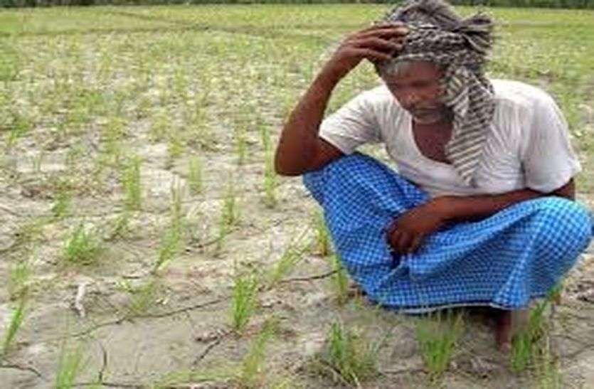 Rainfall figure is zero for two days दो दिनों से शून्य है बारिश का आंकड़ा