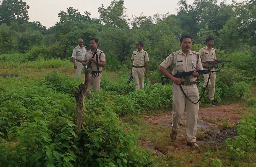 Rewa police descended into forest to stop Babli gang बबली गिरोह को रोकने जंगल में उतरी रीवा पुलिस