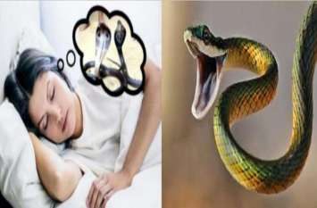 If you see a snake in your dreams know what it means सावधान! सपने में दिखते हैं साँप तो जान लीजिये होने वाला है आपके साथ कुछ ऐसा…