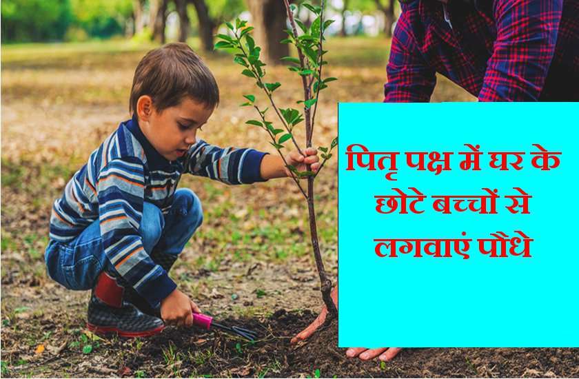 अपने दिवंगत पितरों की याद में पितृ पक्ष में जरूर लगावें ये पौधे, प्रसन्न हो जाएंगे पितृ