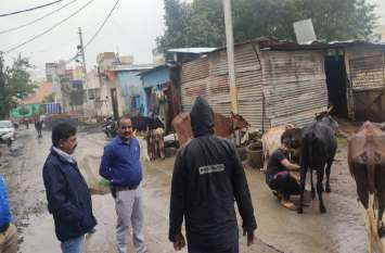 Police caught them in this poultry form in Ujjain, not the chickens उज्जैन में इस पोल्ट्री फॉर्म में मुर्गिया नहीं पुलिस ने इन्हें पकड़ा