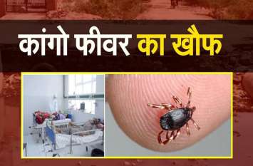 Ban on medical leave for Congo Fever in bhilwara कांगो फिवर को लेकर चिकित्सकों के अवकाश पर रोक
