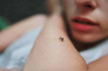 three dengue patients found in four days in lalitpur ललितपुर में फैला संक्रमक बीमारी का प्रकोप, चार दिन में मिले डेंगू के तीन मरीज