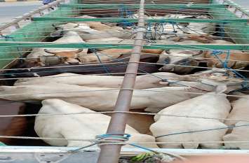 When I checked the truck, it was tied with ropes ... ट्रक की जांच की तो उसमें रस्सियों से बंधे थे...