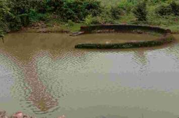 The flooded reservoirs started coming out लबालब हुए जलाशय तो बाहर आने लगे मगरमच्छ