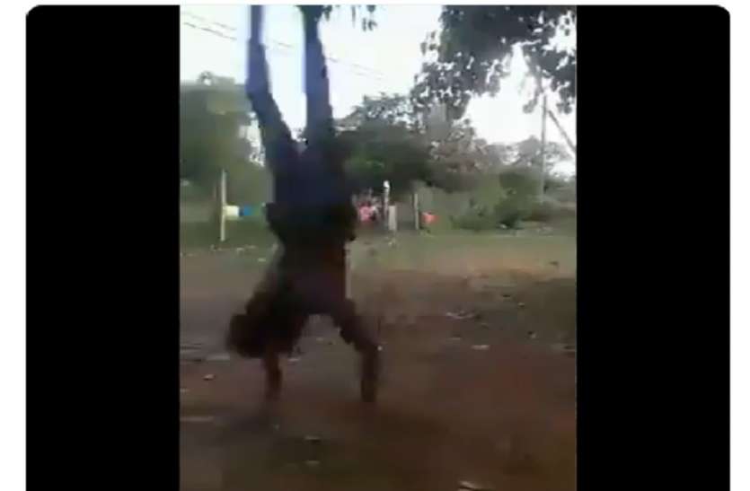 Watch video: ये नहीं देखा तो क्या देखा! देखकर नहीं कर सकेंगे अनदेखा Watch video: ये नहीं देखा तो क्या देखा! देखकर नहीं कर सकेंगे अनदेखा