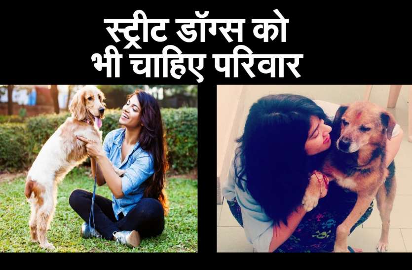 स्ट्रीट डॉग्स को भी अपनाएं स्ट्रीट डॉग्स को भी अपनाएं