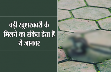 shubh or ashubh sanket in hindi: good and bad omes animals बड़ी खुशखबरी के मिलने का संकेत देता हैं ये जानवर, घर से कभी ना भगाएं