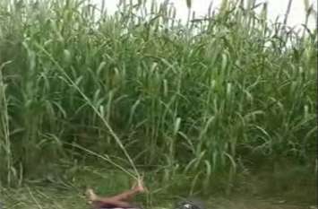 Wife murdered husband in illegal relationship in hathras latest news Crime in UP ननदोई के लिए पति की हत्या, शव बाजरे के खेत में फेंका, कारण है चौंकाने वाला, देखें वीडियो