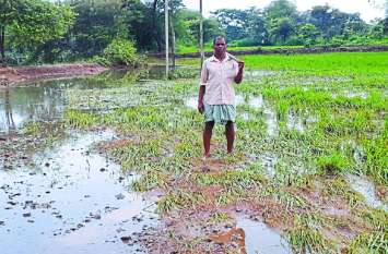 The crop is ruined, only pebbles, sand and water left इस खेत की फसल हो गई चौपट, बचा तो सिर्फ कंकड़, रेत और पानी