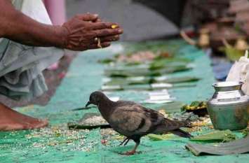 Shraddha Paksha How to please Pitru ancestors in Pitrupaksha 2019 पूर्वज की मृत्यु शस्त्र, विष या दुर्घटना में हुई तो श्राद्ध किस दिन करें