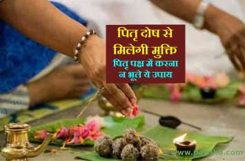 Pitra Dosh Puja Upay in pitru paksha 2019 अगर पितृ दोष से हैं परेशान तो इस पितृ पक्ष में जरूर करें यह काम, समस्याएं होंगी खत्म, आशीर्वाद देंगे