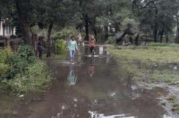 Snakes and wild animals entering the houses in water पानी में तेर घरों में घुस रहे सांप और जंगली जानवर