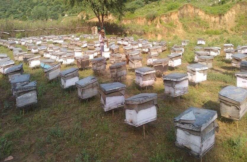 शहद की फीकी हुई मिठास शहद की फीकी हुई मिठास
