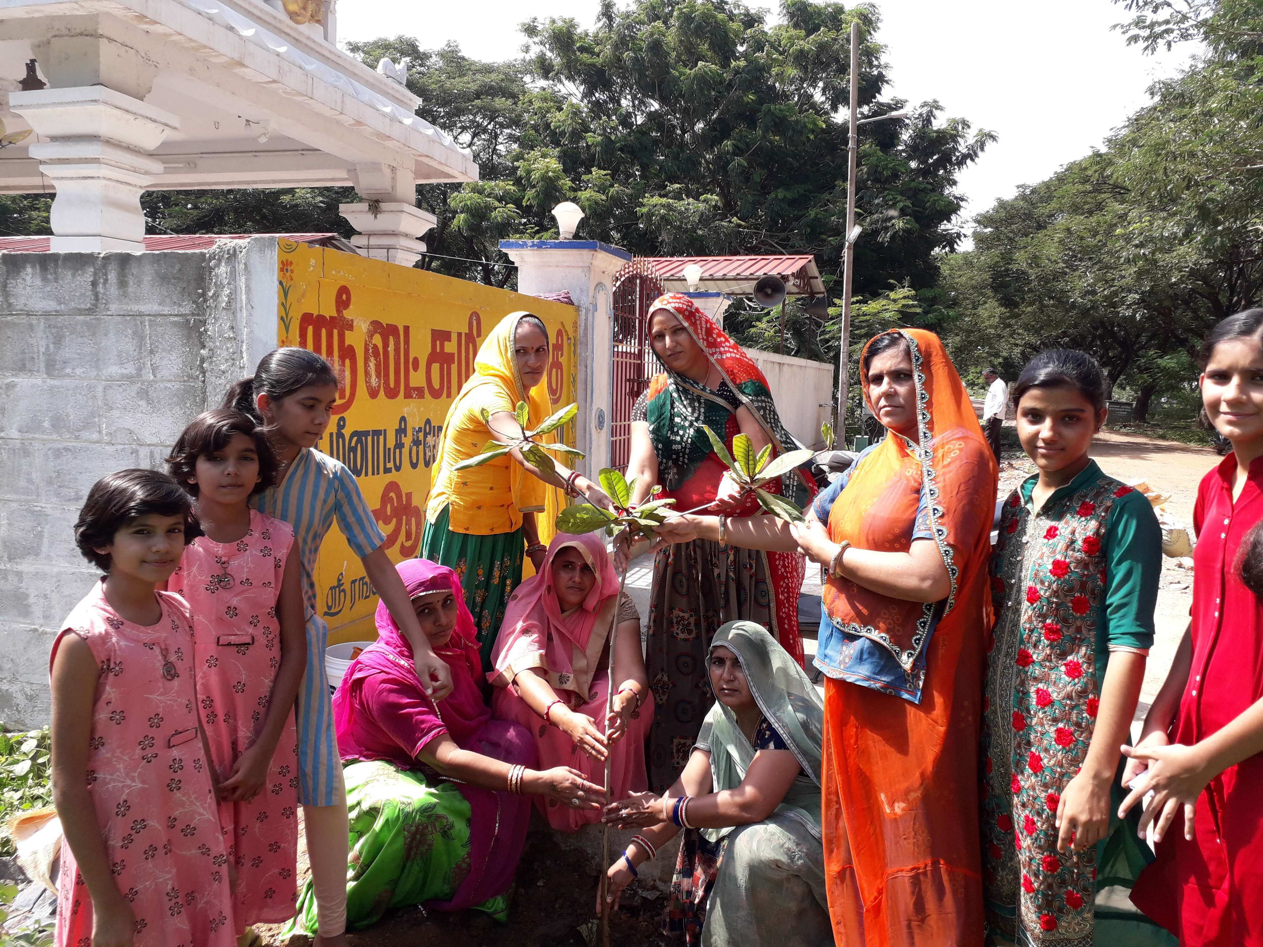 Tree plantation, Harit pradesh, Tamilnadu, Chennai,