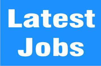Jobs alert: Assistant teachers are recruited on 962 posts in DSSSB. सहायक शिक्षकों की 982 पदों पर होगी भर्ती, जानिए कैसे करें आवेदन, क्या होनी चाहिए योग्यताएं