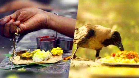shradh paksha 2019