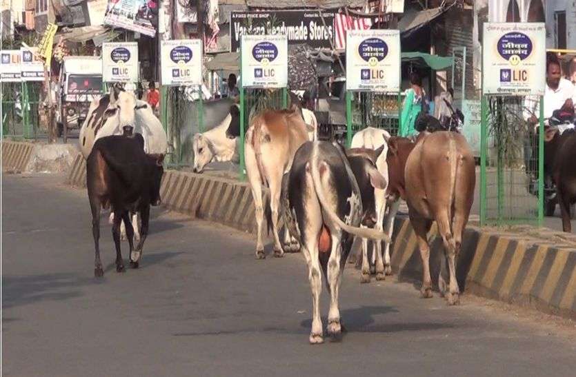 विधायक की पहल के बाद भी शहर की इस गंभीर समस्या को दूर करने में रूचि नहीं ले रही सरकार विधायक की पहल के बाद भी शहर की इस गंभीर समस्या को दूर करने में रूचि नहीं ले रही सरकार