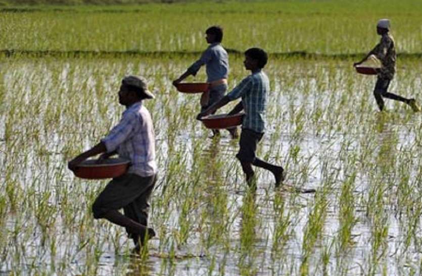 farmer किसानों के लिए खुशखबरी, जयपुर जिले के किसानों को 1177 करोड़ का लोन देगी सरकार