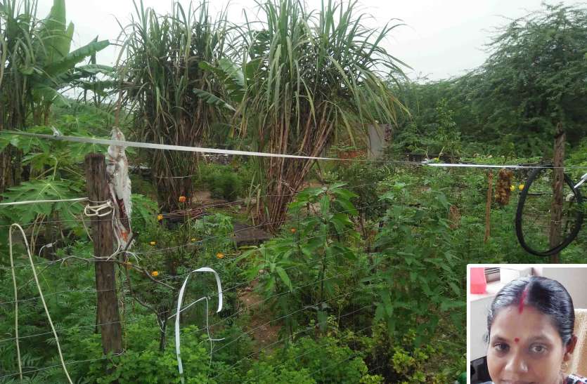 garden developed with recycled water जल संरक्षण की अनूठी मिसाल, पुनर्चक्रित पानी से विकसित कर दिया बगीचा