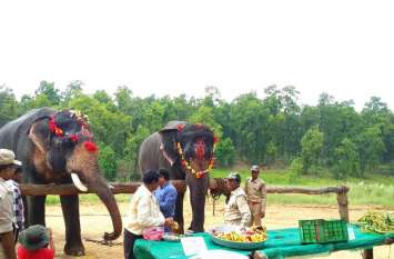 Bapu and Bharat Bahadur taking 50 dozen bananas, 10 kg of pomegranate 50 दर्जन केले, 10 किग्रा सेव अनार व 50 गन्ने की डाइट ले रहे बापू व भरत बहादुर