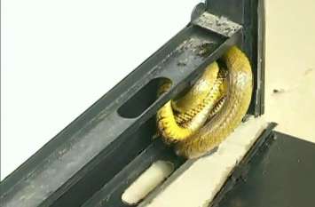 Snake Police Station shivmogga jayanagar Police Station Karnataka पुलिस थाने की फोटोकॉपी मशीन में घुसे नागराज, पुलिस वालों की सिट्टी पिट्टी गुम
