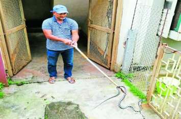 Snake Man: Work to protect poisonous snakes in India,Dantewada,CG ये है छत्तीसगढ़ का स्नेक मैन, जहरीले सांपों की रक्षा करने कर रहा ये काम, जानकर करेंगे सलाम