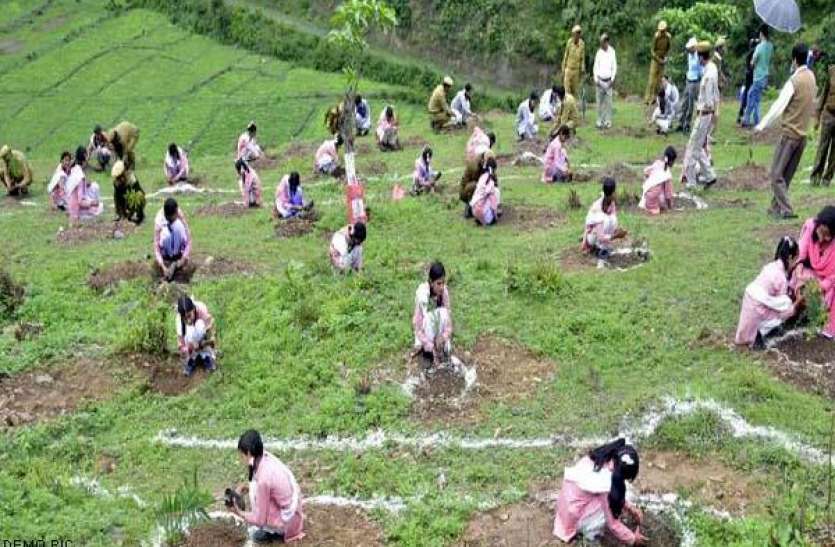 van_mitra.jpg वन मित्र ऐप में होगा वनवासियों का रजिस्ट्रेशन, लांचिंग दो को