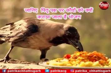 Pitru Paksha 2019: Know Importance of Food to crows पितृ पक्ष पर कौवों को क्यों कराया जाता है भोजन, जानिए इसका खास महत्त्व