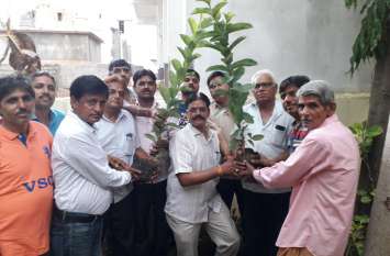 Tamilnadu, Chennai, Harit Pradesh, Tree Plantation, Jat Samaj, Pravasi Tamilnadu News: प्रकृति का सम्मान करना सीखें