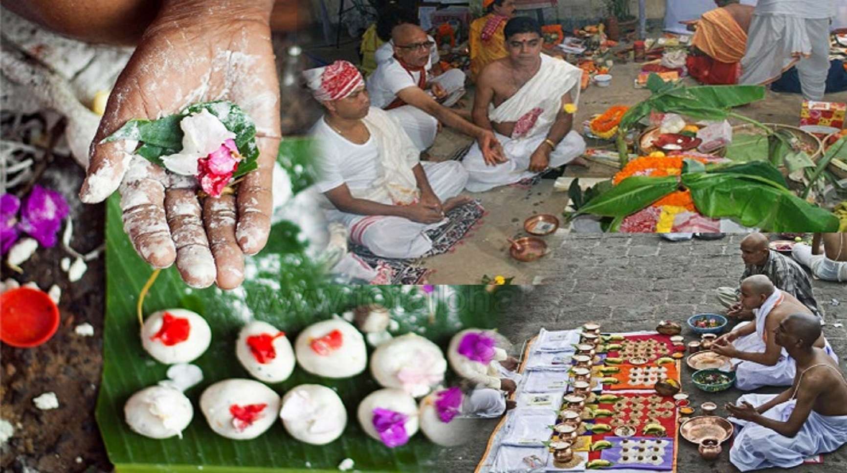 Pitru Paksha 2019: These Indications Are Happy For Family - ये संकेत बताते  हैं कि पितृपक्ष में आपके पितर आपसे प्रसन्न हैं | Patrika News