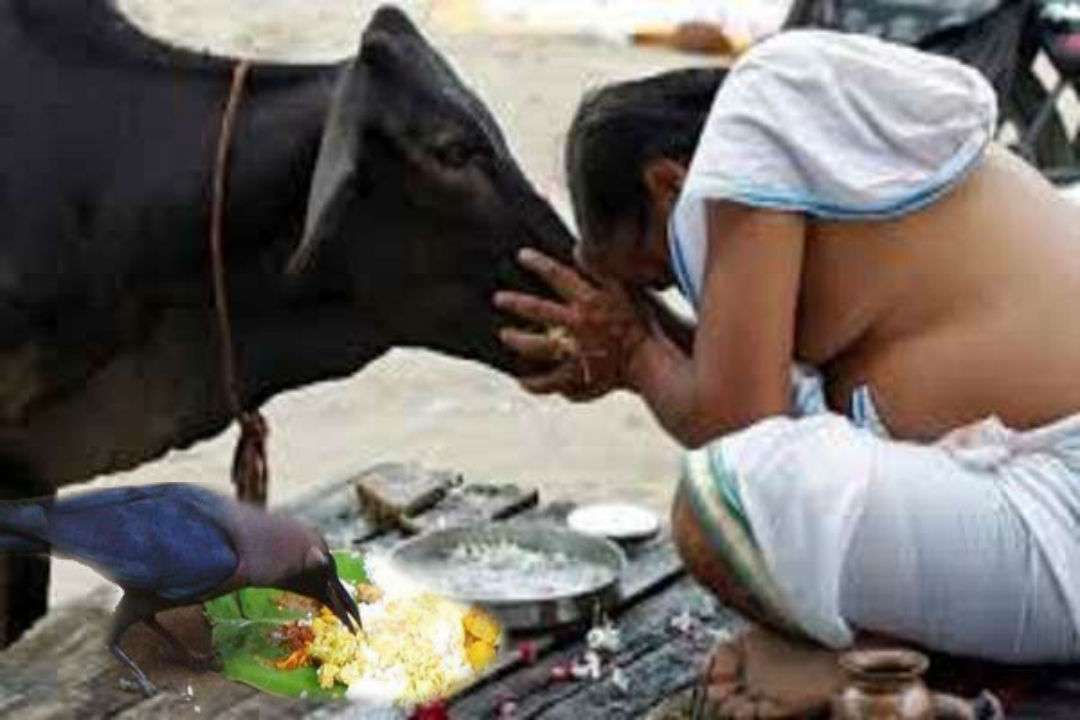pitru paksha