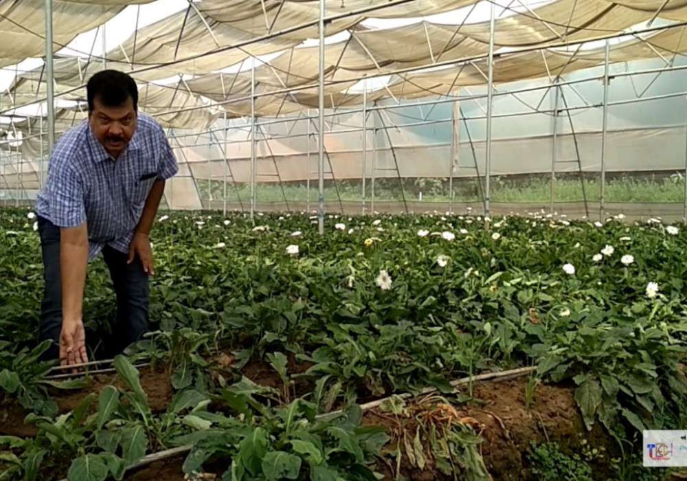 Flower Farming