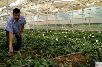 KeyToSuccess inspiring story of man earning lacs with flowers farming KeyToSuccess: इस शख्स ने सुनी दिल की और आज कमा रहा लाखों रुपए, जानिए कामयाबी की कहनी