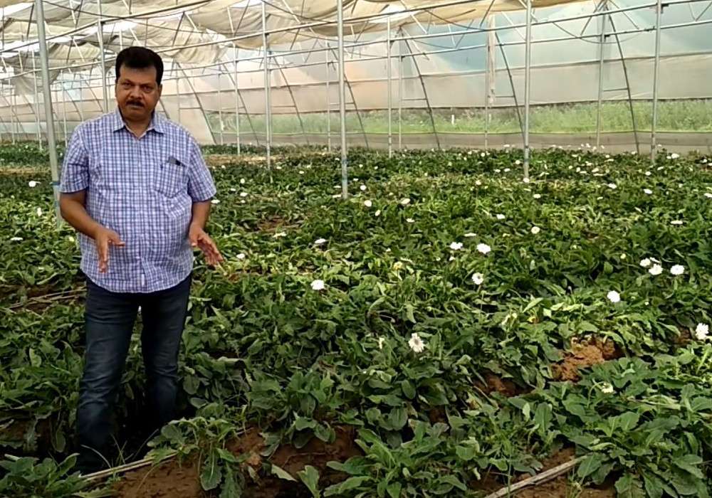 Flower Farming