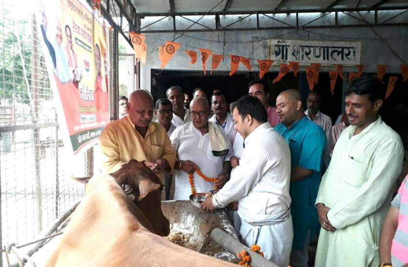 PM Narendra Modi Janm Divas Sewa Saptah Ayodhya News And Image Ayodhya : पीएम नरेन्द्र मोदी के जन्मोत्सव सेवा सप्ताह कार्यक्रम में अयोध्या में हुई गौ पूजा