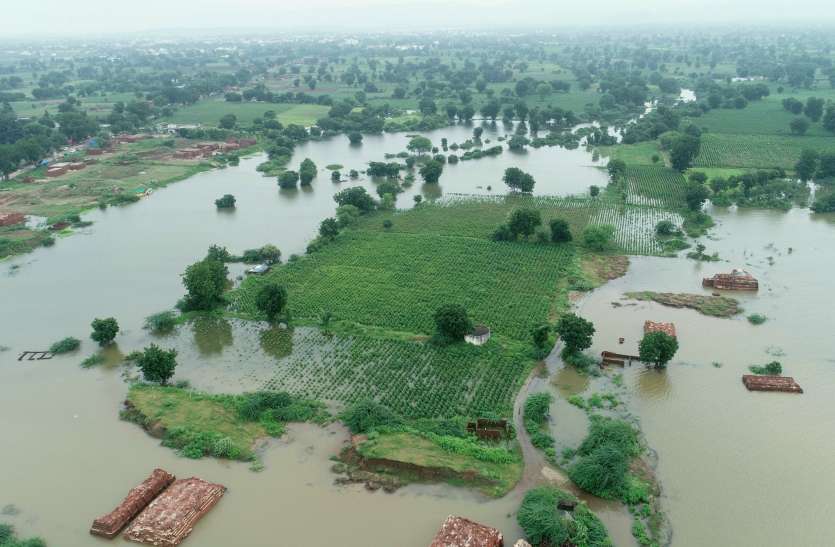 Farmers loss due to sinking of Sardar Sarovar Dam बैक वाटर की डूब में करोड़ों की फसल बरबाद होने की कगार पर