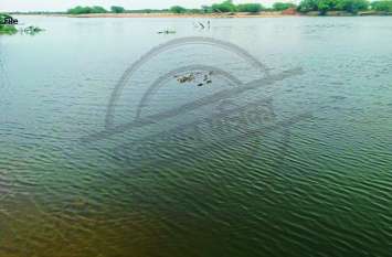 Khalasi died due to drowning in Looni river लूणी नदी में डूबने से खलासी की मौत