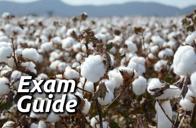 Education, interview, exam, online test, rojgar samachar, interview tips, online exam, Mock Test, general knowledge, GK, interview questions, jobs in hindi, rojgar, competition exam, mock test paper, sarkari job, questions Answers, GK mock test, Exam Guide, General Science Questions, Questions and answers, common general knowledge questions and answers, common general knowledge questions and answers Exam Guide: इस टेस्ट से चेक करें अपनी प्रतियोगी परीक्षा की प्रीपरेशन