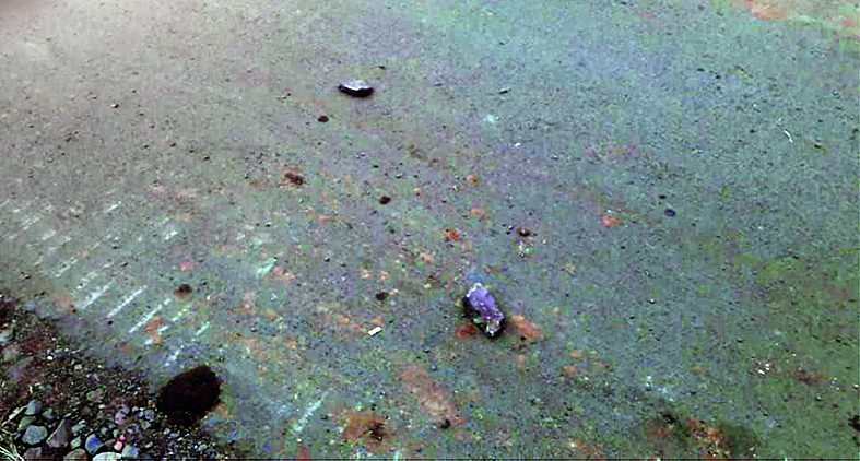 bhopal_3.png