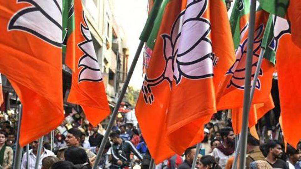 bjp_1.jpg