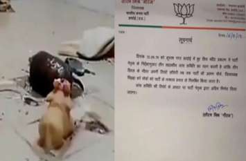 UP minister close BJP leader suspended from party यूपी सरकार में इस मंत्री के करीबी भाजपा नेता पर लगा शिवलिंग तोड़ने का आरोप, पार्टी से निलंबित