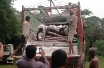 Were taking away sandalwood from crores hiding in sagon bags साबूदाने की थैलियों में छुपाकर ले जा रहे थे करोडों की चंदन की लकड़ी