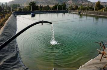 Truth on the ground of Prime Minister's Agricultural Irrigation Scheme प्रधानमंत्री कृषि सिंचाई योजना की धरातल पर सच्चाई, पानी बचाने के दावों में 'पोल'
