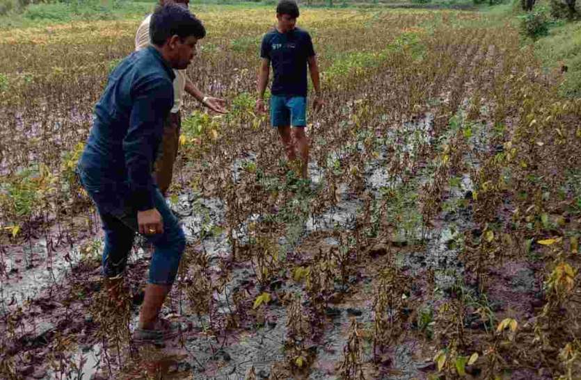 अब सरकार का ‘सहारा’ ही ‘आसरा’ अब सरकार का ‘सहारा’ ही ‘आसरा’